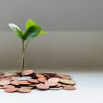 Linhas de Crédito para PME em Projetos de Transição Energética