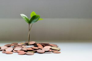 Linhas de Crédito para PME em Projetos de Transição Energética